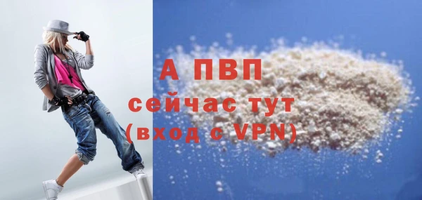 сатива Кулебаки