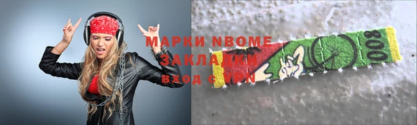 сатива Кулебаки