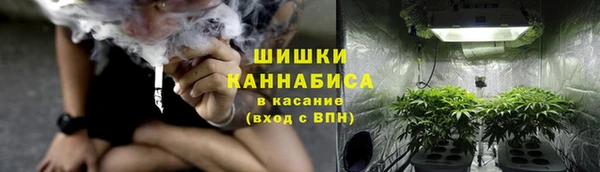 сатива Кулебаки