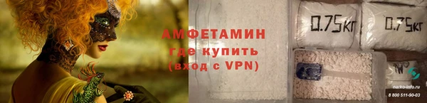 сатива Кулебаки