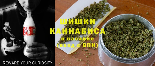 сатива Кулебаки