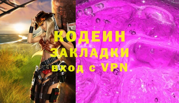 сатива Кулебаки
