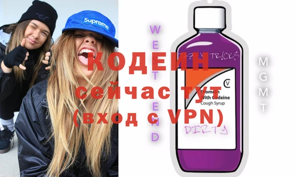 сатива Кулебаки