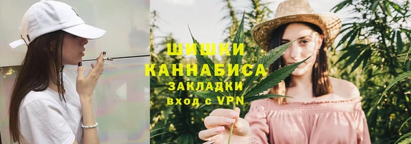 сатива Кулебаки