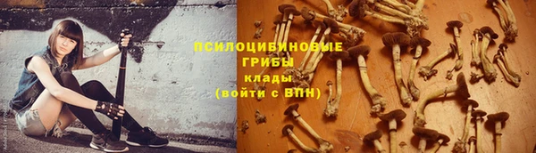 гидра Куйбышев
