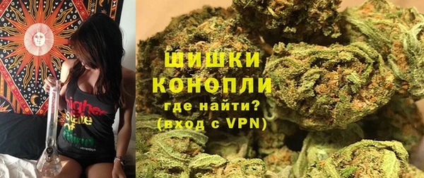 сатива Кулебаки