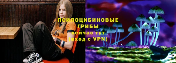 сатива Кулебаки