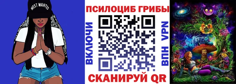 Купить  Тверь  Псилоцибиновые грибы мухоморы 